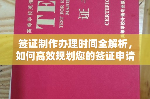 卫滨签证制作办理时间全解析，如何高效规划您的签证申请流程