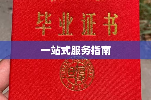 卫滨一站式服务指南