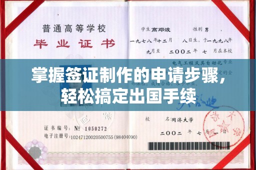 卫滨掌握签证制作的申请步骤，轻松搞定出国手续
