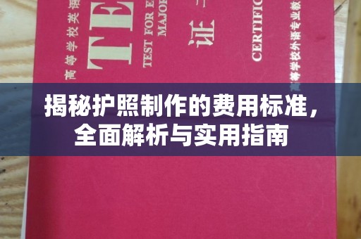 卫滨揭秘护照制作的费用标准，全面解析与实用指南