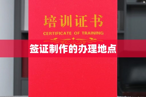 卫滨签证制作的办理地点