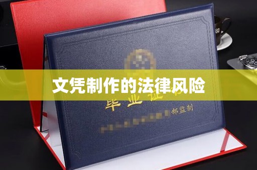卫滨文凭制作的法律风险