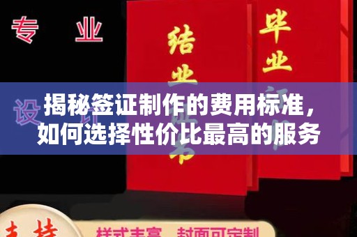 卫滨揭秘签证制作的费用标准，如何选择性价比最高的服务？