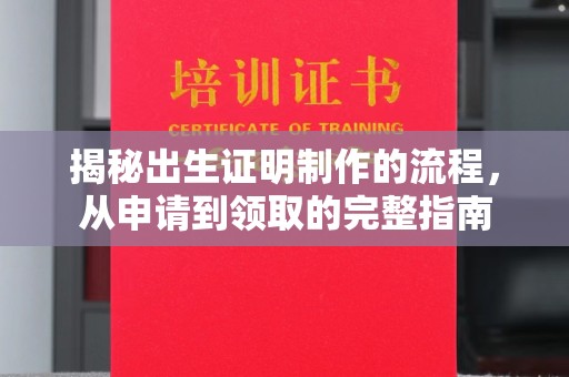 卫滨揭秘出生证明制作的流程，从申请到领取的完整指南