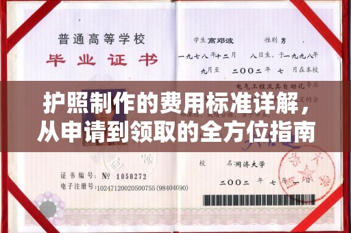 卫滨护照制作的费用标准详解，从申请到领取的全方位指南