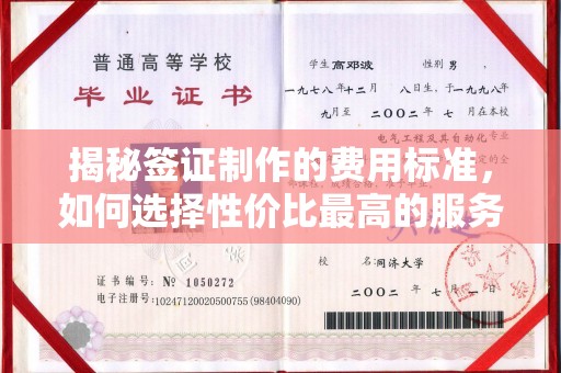 卫滨揭秘签证制作的费用标准，如何选择性价比最高的服务？