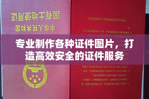 卫滨专业制作各种证件图片，打造高效安全的证件服务