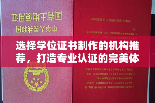 卫滨选择学位证书制作的机构推荐，打造专业认证的完美体验