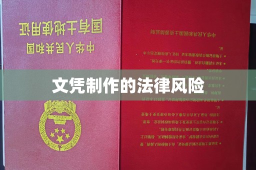 卫滨文凭制作的法律风险