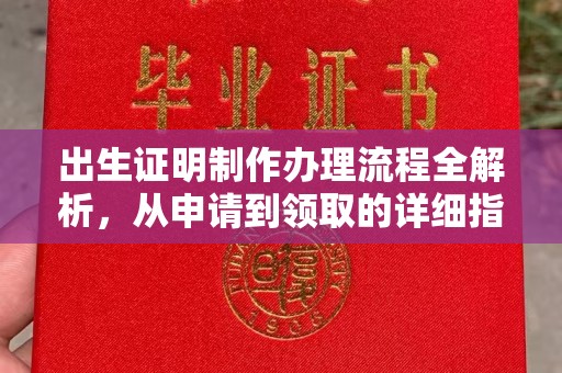 卫滨出生证明制作办理流程全解析，从申请到领取的详细指南