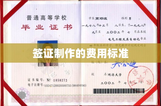 卫滨签证制作的费用标准