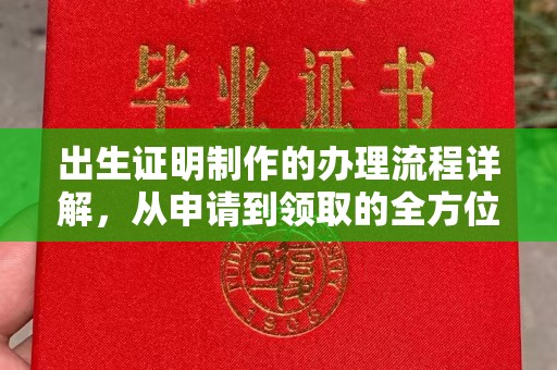 卫滨出生证明制作的办理流程详解，从申请到领取的全方位指南