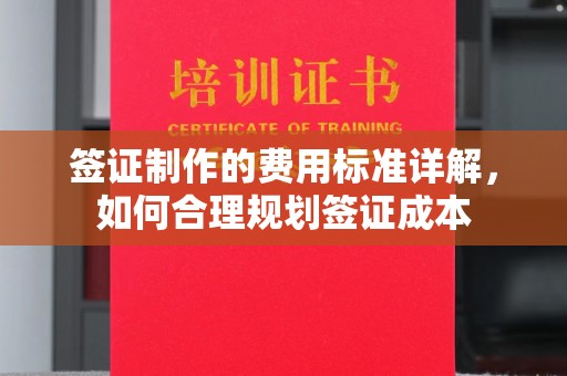 卫滨签证制作的费用标准详解，如何合理规划签证成本