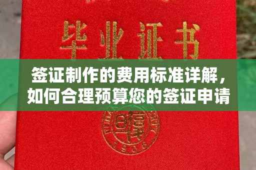 卫滨签证制作的费用标准详解，如何合理预算您的签证申请成本